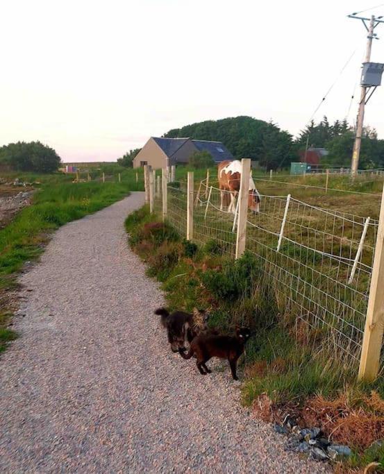 Isla'S Cottage Stornoway  Buitenkant foto